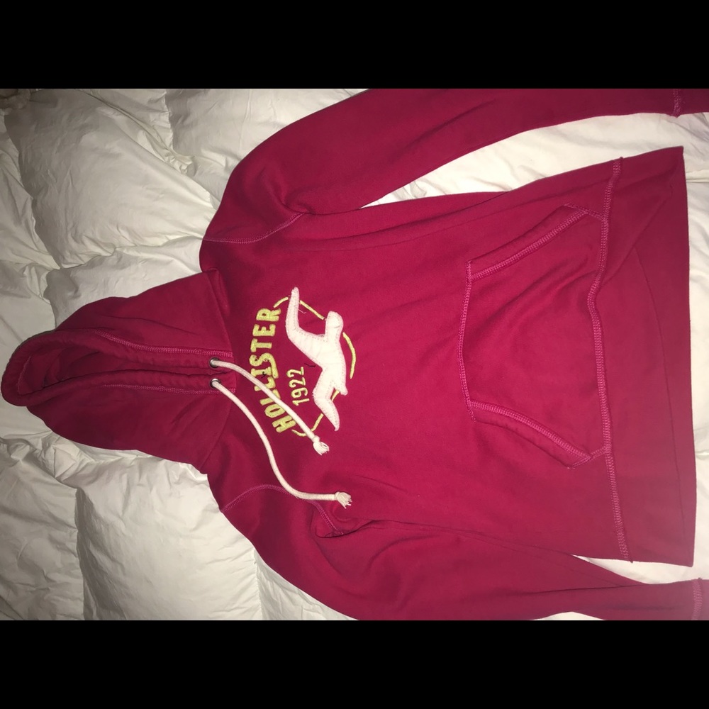 Hollister Hoodie
